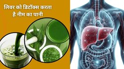 रोजाना नीम के पत्तों का पानी पीने से सेहत पर कैसा होता है असर, आचार्य बालकृष्ण से जानिए
