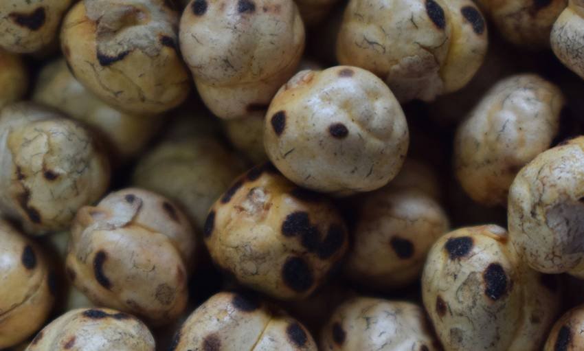 Makhana health benefits