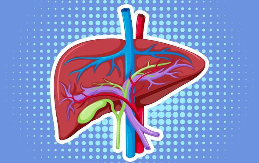 natural liver cleanse