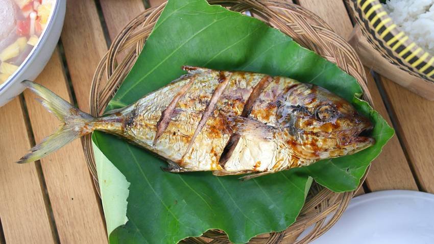 Best foods for fatty liver