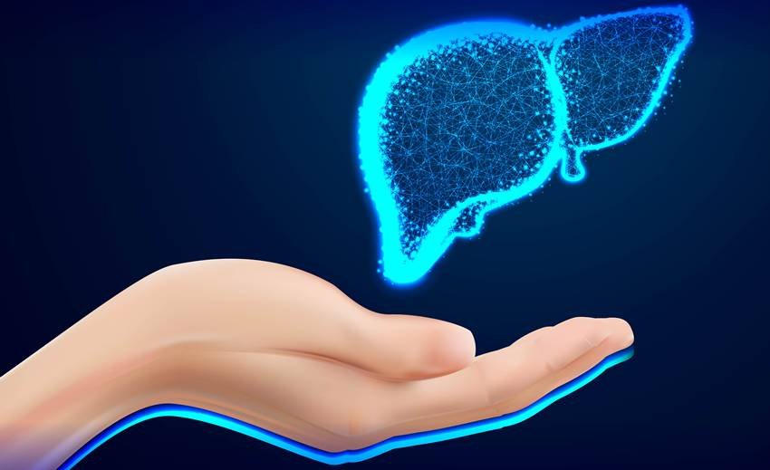 Natural ways to reduce liver fat