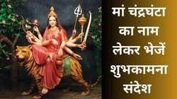 नमो नमो दुर्गे सुख करनी, नमो नमो अम्बे दुःख हरनी…मां चंद्रघंटा को नमन कर शारदीय नवरात्रि के तीसरे दिन भेजना न भूलें ये टॉप 10 संदेश