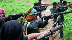 मारे गए 2 और नक्सली, 9 महीने में आधी हो गई सेंट्रल पैनल की संख्या; 1 करोड़ इनाम वाले माओवादी का भी हुआ सफाया