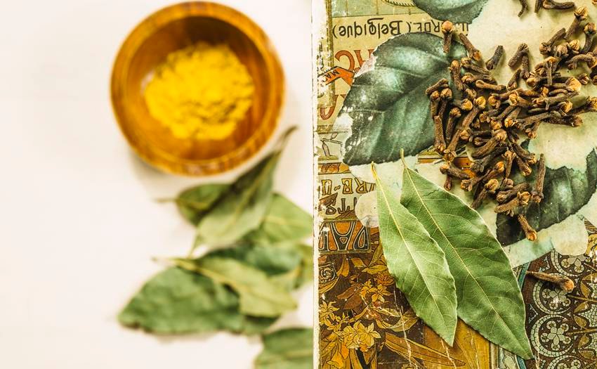 neem turmeric detox