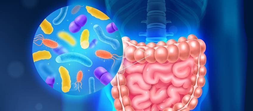 herbal medicine for blood purification