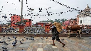 Nepal Gen Z protest, youth uprising Nepal, Sri Lanka Bangladesh protests, South Asia political instability