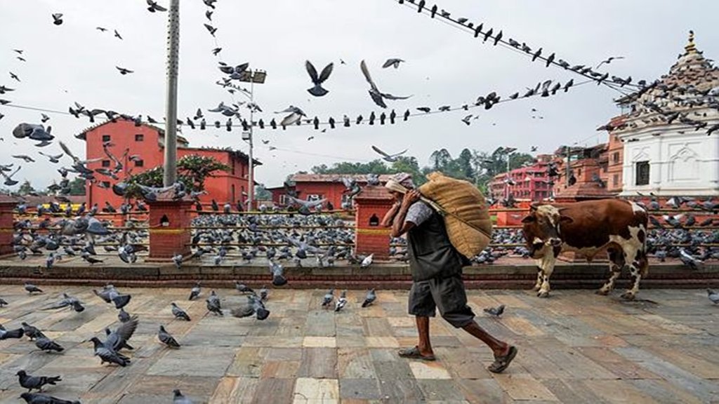 Nepal Gen Z protest, youth uprising Nepal, Sri Lanka Bangladesh protests, South Asia political instability