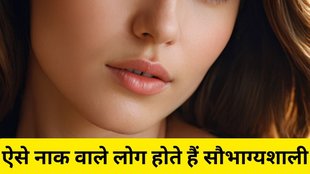Samudrik Shastra, Nose Shape Personality, Samudrik Shastra For Nose, Samudrik Shastra, Samudra Shastra nose, Ang Shastra nose, nose shape meaning, meaning of nose shapes, nose shape, face reading, face reading in Hindi, samudrik Shastra, samudra Shastra, नाक के आकार का मतलब, नाक की बनावट का मतलब, समुद्र शास्त्र, सामुद्रिक शास्त्र, फेस रीडिंग इन हिंदी, नाक से व्यवहार कैसे पता चलता है, नाक की बनावट, नाक का आकार, religion, religion news, religion news in hindi, know your personality from shape of your nose, nose shape personality, Samudrik Shastra in hindi