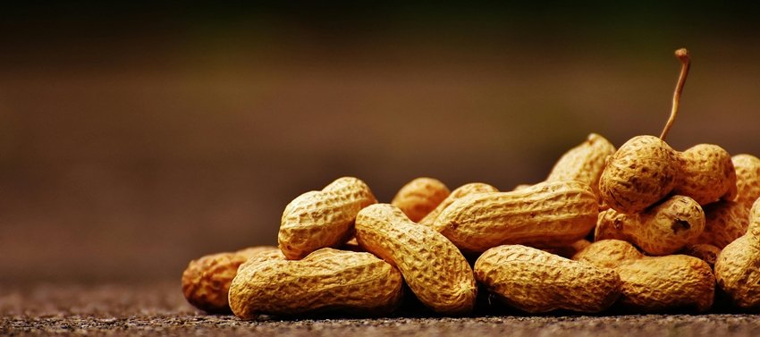Nuts and Seeds