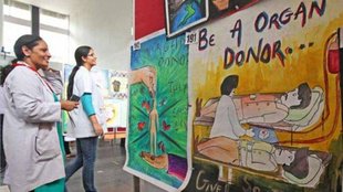 organ donation, gift of life, brain dead donors
