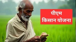 PM Kisan Samman Nidhi 21th Installment: क्या दिवाली से पहले आएंगे 2000 रुपये? 21वीं किस्त से पहले जान लें हर जरूरी सवाल का जवाब
