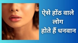 होठों की बनावट से जानें व्यक्ति का स्वभाव और भविष्य, ऐसे होंठ वाले लोग होते हैं बेहद भाग्यशाली, खूब कमाते हैं धन-दौलत