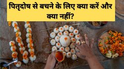 अगर गलती से पितृदोष लग जाए तो उससे बचने के लिए क्या करना चाहिए? बिल्कुल भी न करें ये गलतियां