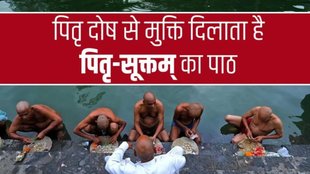 pitru paksha 2025, pitra dosh