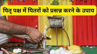 Pitru Paksha 2025 remedies, Pitru Paksha me pitron ko prasann karne ke upay, पितृ पक्ष में पितरों को खुश करने के उपाय, पितृ पक्ष श्राद्ध के नियम और उपाय, पितरों का आशीर्वाद पाने के लिए उपाय, Pitru dosh se mukti ke upay, पितृ पक्ष श्राद्ध कर्म विधि, पितृ पक्ष में क्या करें क्या न करें, Pitru Paksha puja vidhi in Hindi, Pitru Paksha remedies 2025, How to please ancestors in Pitru Paksha, Pitru Paksha rituals and remedies, Pitru Paksha puja vidhi in English, Pitru Paksha dos and don’ts, Pitru Paksha mantra and remedies, Ways to get ancestors blessings in Pitru Paksha, Pitru Paksha rituals for Pitru dosh removal, Pitru Paksha significance and rituals, Pitru Paksha prayers for ancestors, पितरों को प्रसन्न करने के मंत्र और उपाय