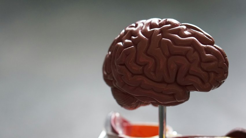 Poor Sleep Linked to Heart Disease and Alzheimer