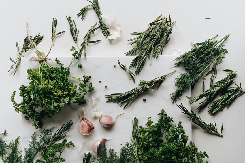 Powerful Herbs That Boost Immunity and Digestion
