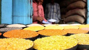 India pulses import, Canada lentils export