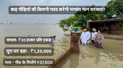 पंजाब: 45 दिनों में हर बाढ़ पीड़ित को मिलेगा मुआवजा, जानिए फसल, घर और मवेशी के नुकसान पर कितनी सहायता करेगी भगवंत मान सरकार