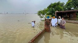 बाढ़ प्रभावित पंजाब से आ रही कालाबाजारी की खबरें, जरूरी सामान की कीमतों में भी इजाफा