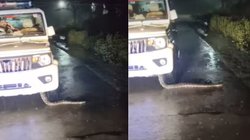 नाइट पेट्रोलिंग कर रही पुलिस की जीप में घुस गया विशालकाय अजगर और फिर जो हुआ, Viral Video देख सहमे यूजर्स
