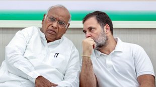 Rahul Gandhi News, Rahul Gandhi News in Hindi, Vote Chori