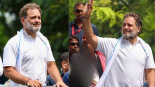 Rahul Gandhi News, Bihar News, Bihar Assembly Elections