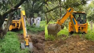 Sambhal News | latest news | samajwadi party mla action