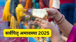 पितृपक्ष के आखिरी दिन कब और कैसे करें पितृ विसर्जन? यहां जानिए सर्वपितृ अमावस्या पर श्राद्ध, तर्पण और पिंडदान की पूरी विधि