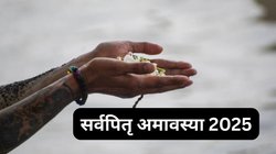 Sarva Pitru Amavasya 2025: पितरों की कृपा पाने के लिए सर्वपितृ अमावस्या पर करें राशि अनुसार दान, पितृ दोष होगा दूर