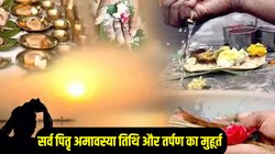Sarva Pitru Amavasya 2025: सर्व पितृ अमावस्या पर बन रहा सर्वार्थ सिद्धि योग, जानिए तिथि, तर्पण करने का शुभ मुहूर्त और धार्मिक महत्व
