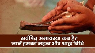 Sarva Pitru Amavasya 2025, Sarva Pitru Amavasya