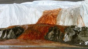 Scientists Unlock the Secret of Antarctica Blood Falls After a Century
