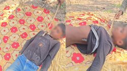 खेत में छांव देखकर सो गया लड़का, शर्ट में घुसा जहरीला सांप और फिर जो हुआ, कमजोर दिल वाले न देखें यह Viral Video
