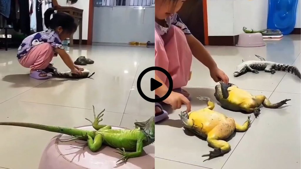 Shocking Viral Video, Viral Video, Trending Video