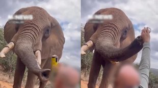 Viral Video| Trending Video| Viral Instagram Reels