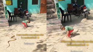 Viral Video, Trending News, Viral Instagram reels