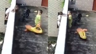 Shocking Viral Video, Viral Video, Trending Video
