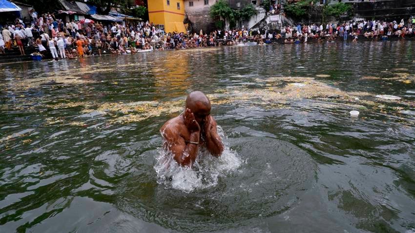 animals to feed during Pitru Paksha