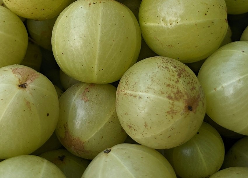 Side Effects of Amla on Hair You Should Know Before Using It
