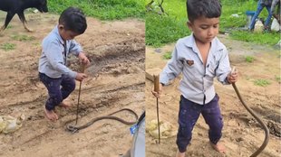 Shocking Viral News, Snake Viral Video, Viral Video