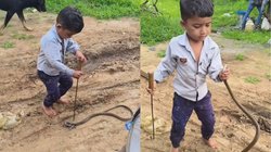 बच्चे ने कुछ ही सेकेंड में खतरनाक सांप को किया रेस्क्यू, Viral Video देख यूजर्स बोले – छोटू का यमराज के साथ उठना-बैठना है