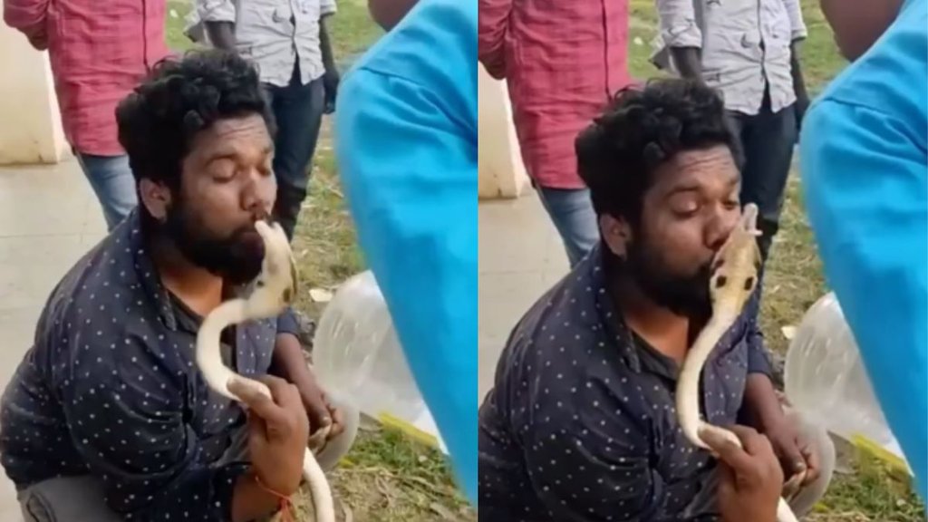 Snake Viral Video| Viral Video| Trending Video
