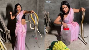 Snake Viral Video, Viral Video, Trending Video