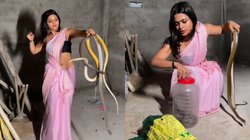 हिरोइन-सी बनकर सांप को रेस्क्यू करने पहुंची युवती, हाथों से ऐसे पकड़ा खतरनाक जीव मानो कोई खिलौना, Viral Video देख यूजर्स हैरान