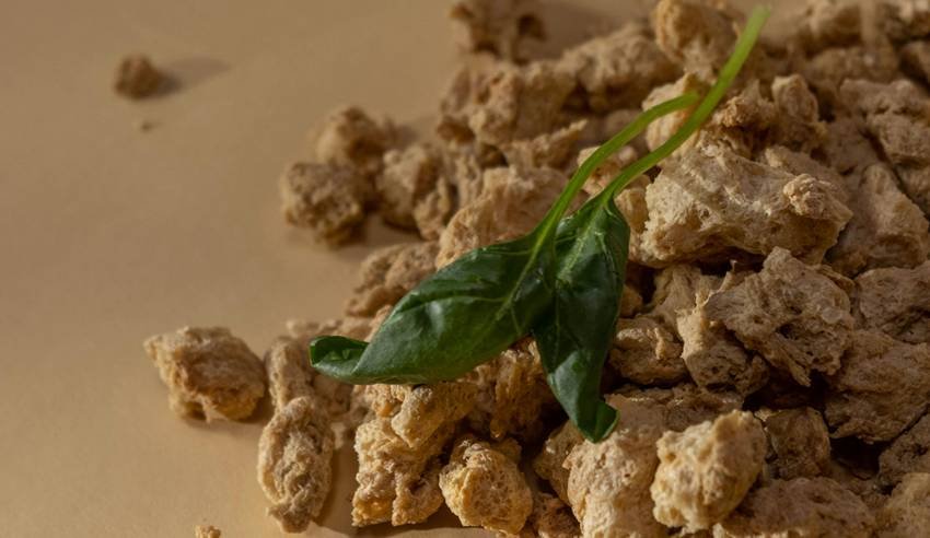 Soybean vs Soya Chunks