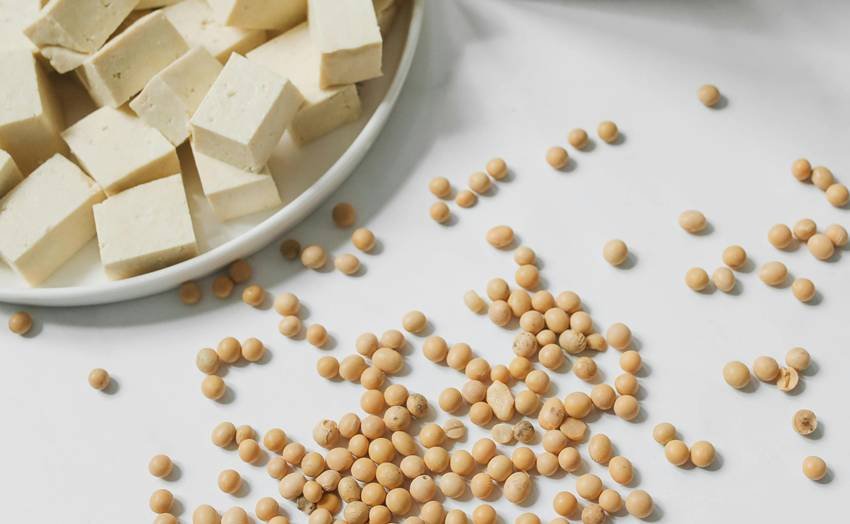 Soya chunks vs soybeans comparison
