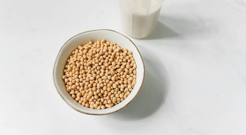 High protein vegetarian foods