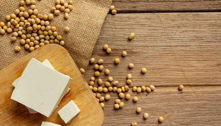 Vegetarian protein options