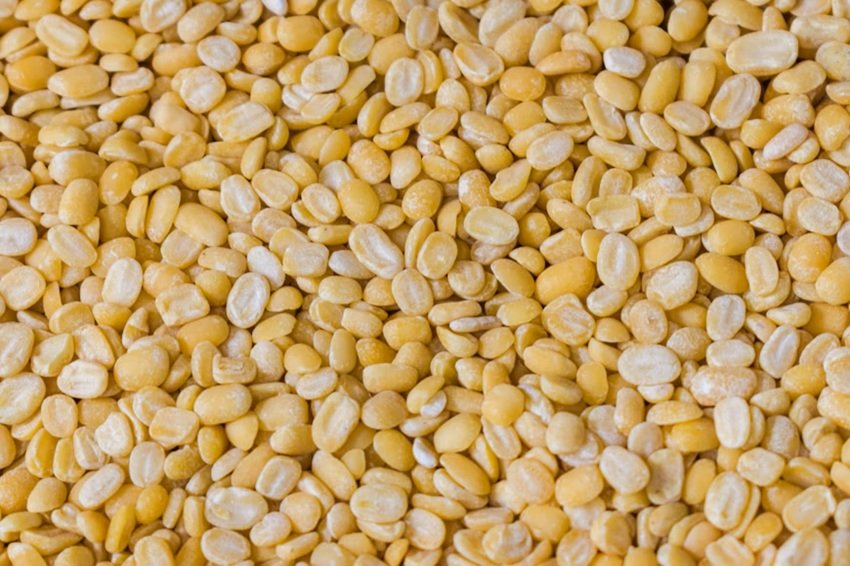 Stay Fit and Satisfied with These Roasted Snack Ideas